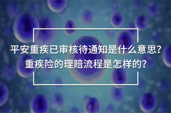 平安重疾已审核待通知