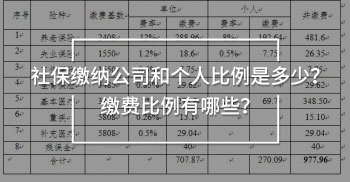 社保缴纳公司和个人比例是多少？缴费比例有哪些？