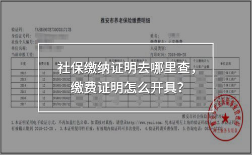 社保缴纳证明去哪里查，缴费证明怎么开具！