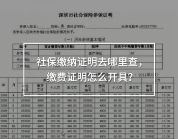 社保缴纳证明去哪里查，缴费证明怎么开具！